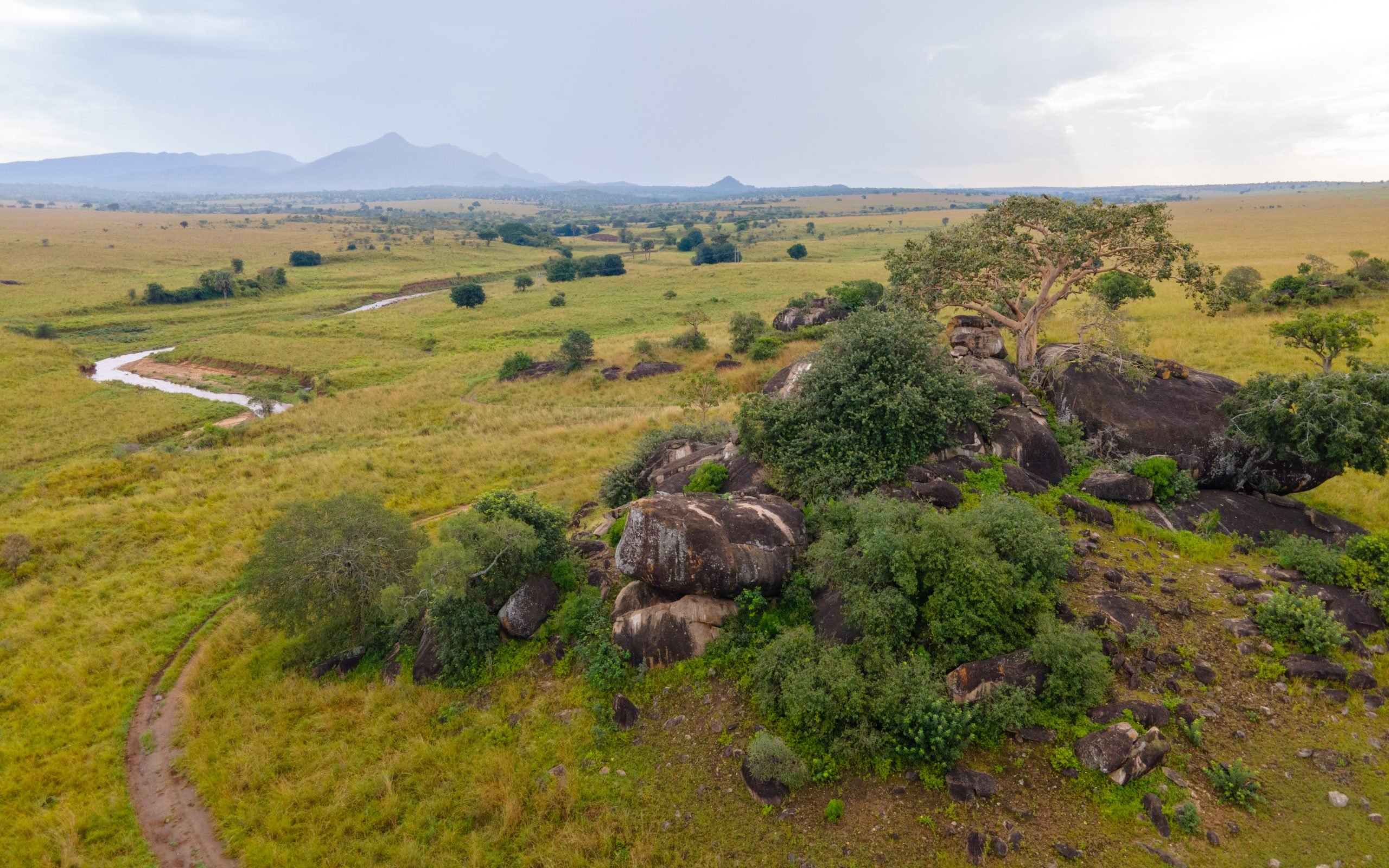 Enjoy the beauty of Kidepo valley national park